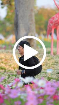 BIB:  <button type="button" onclick="openModal(27582976)" class="btn btn-primary btn-sm float-right" data-toggle="modal" data-target=".modal-high-quality">
                <i class="fa fa-download"></i> Download
                </button>